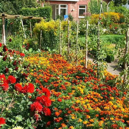 Haus Am Garten Apartman Wietzendorf
